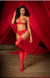 Valentines Day Red Hot Lingerie